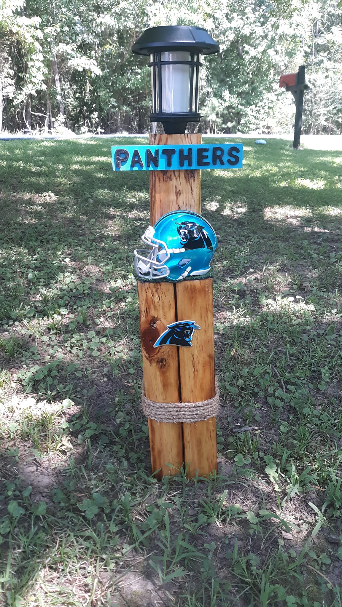 Large Carolina Panthers Post