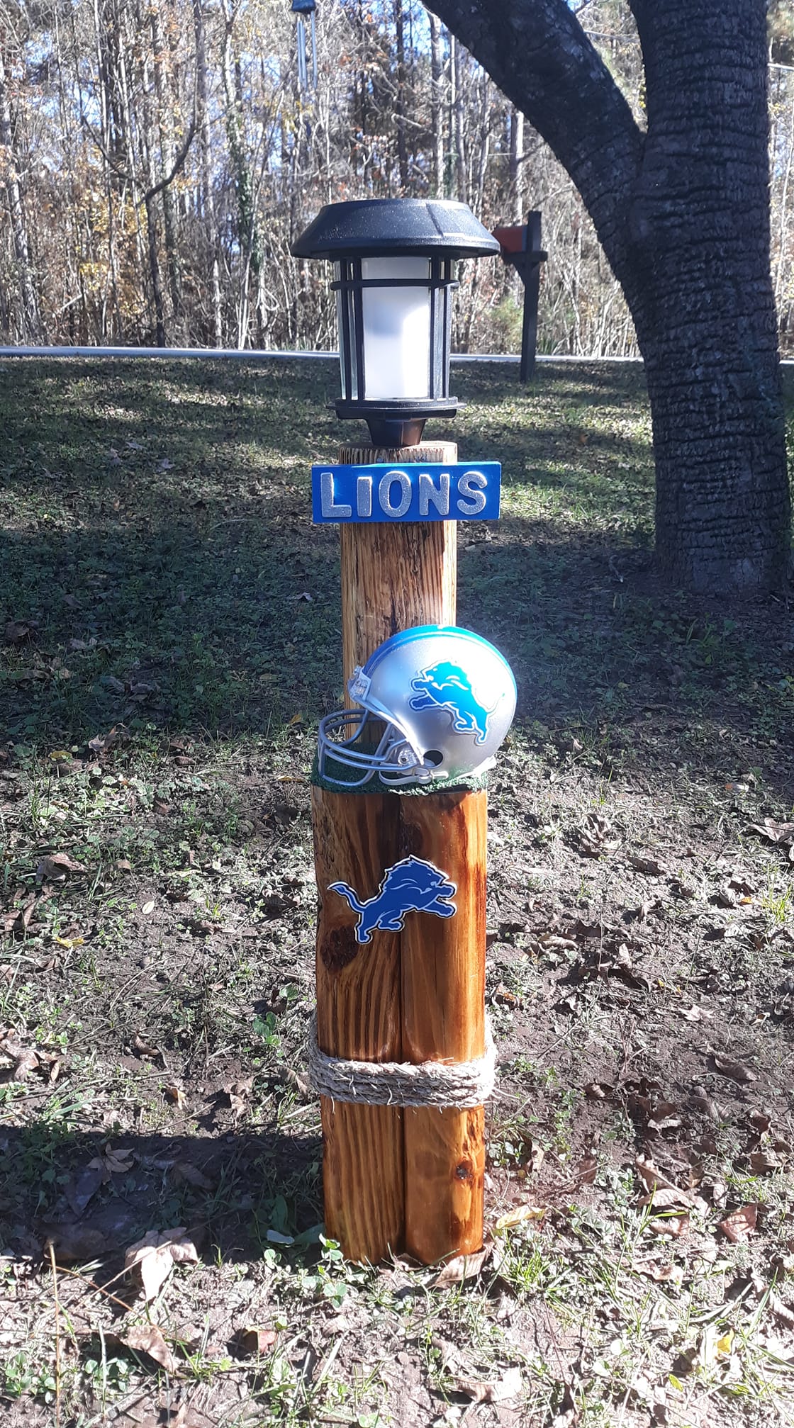 Large Detroit Lions Post