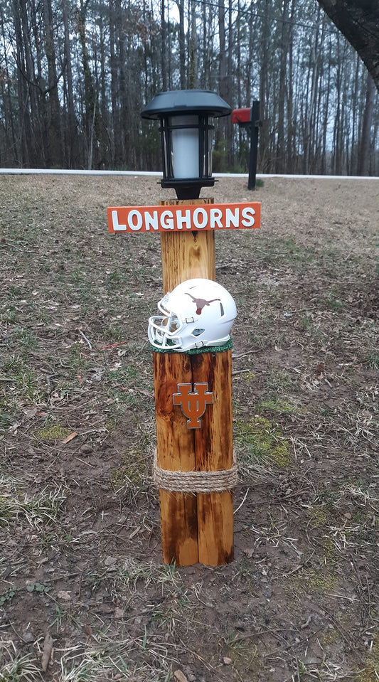 Large Longhorns Post